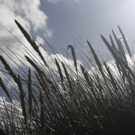 Hotell Haus Kranich 3*