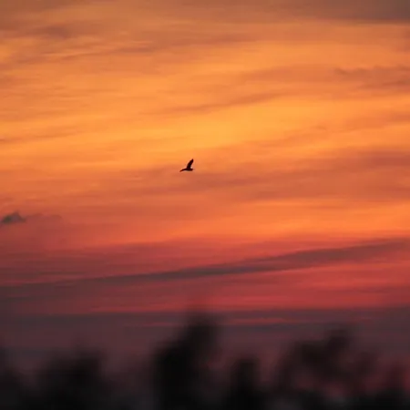 Hotell Haus Kranich Prerow